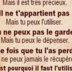 Naima  - Copywriter conversation, plus de ventes