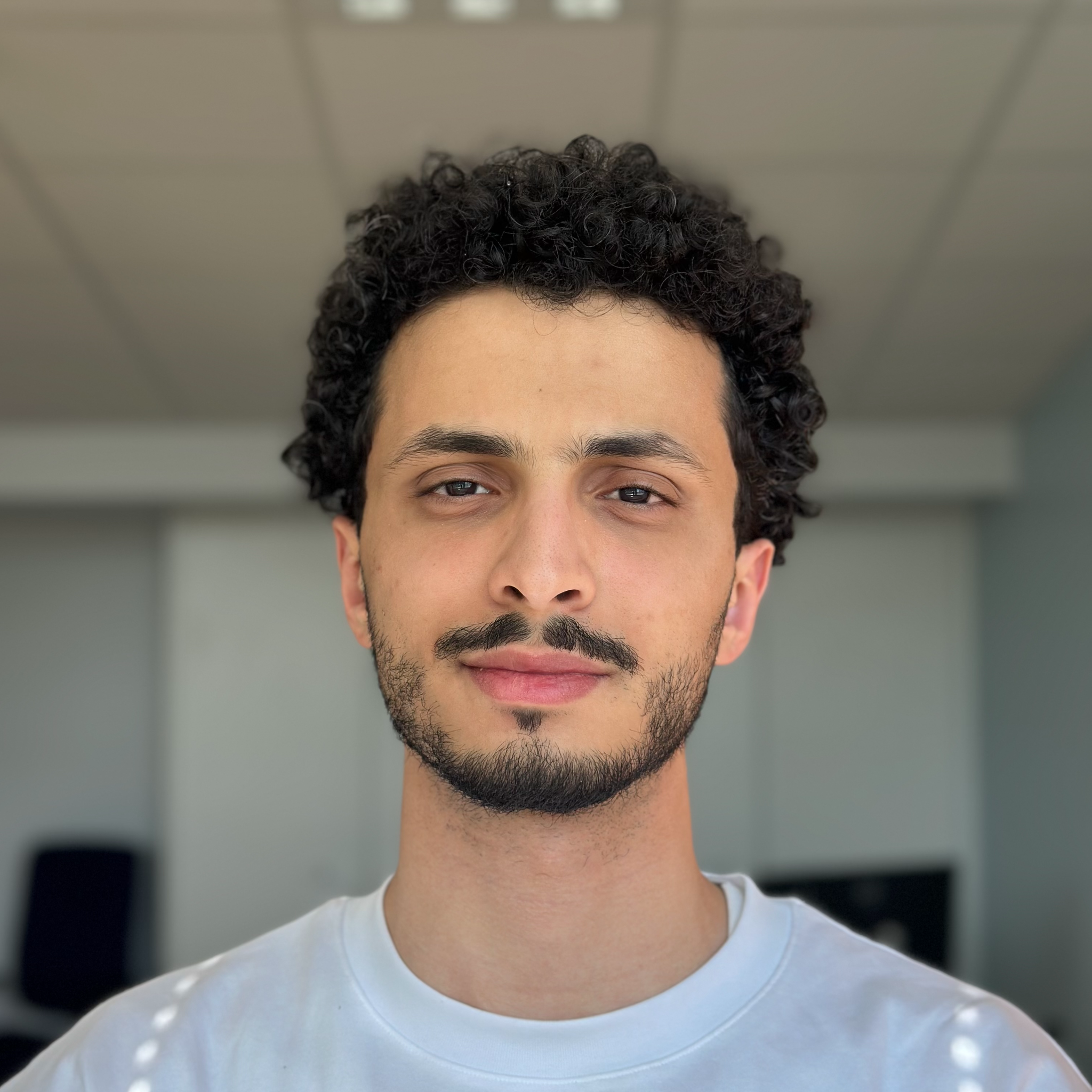 Dhia M. - ML Engineer | Data Scientist | GenAI, LLM 