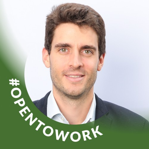 Valentin Flon - Digital Transformation Consultant