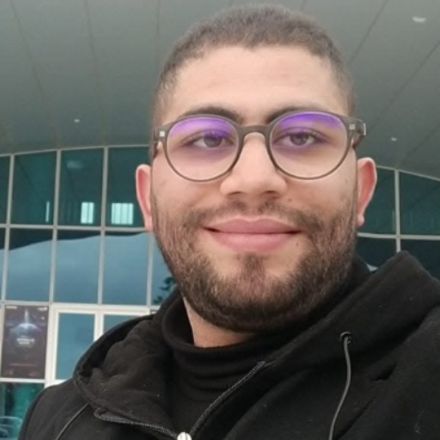 Mohamed Ali Bdioui