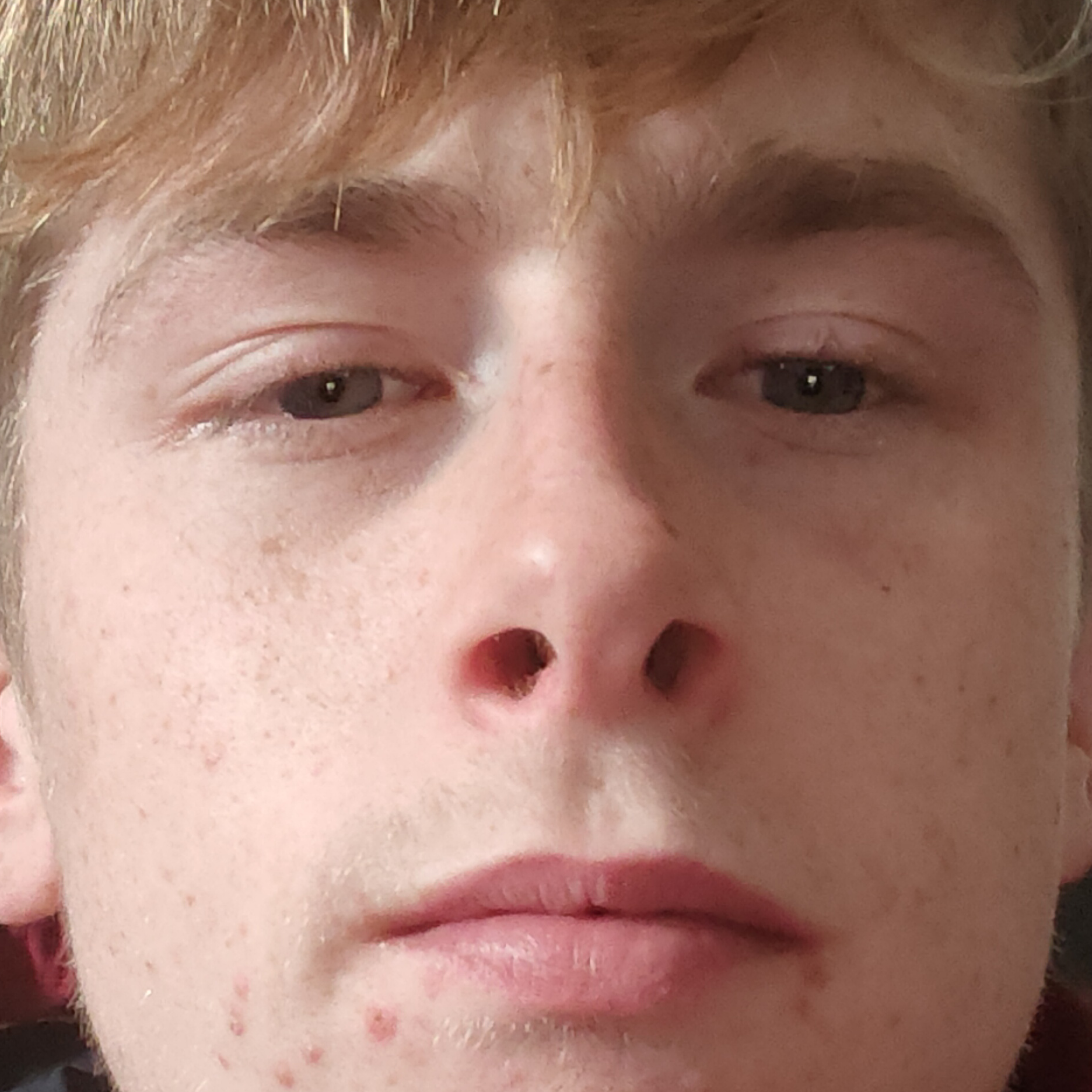 Jay Whelan