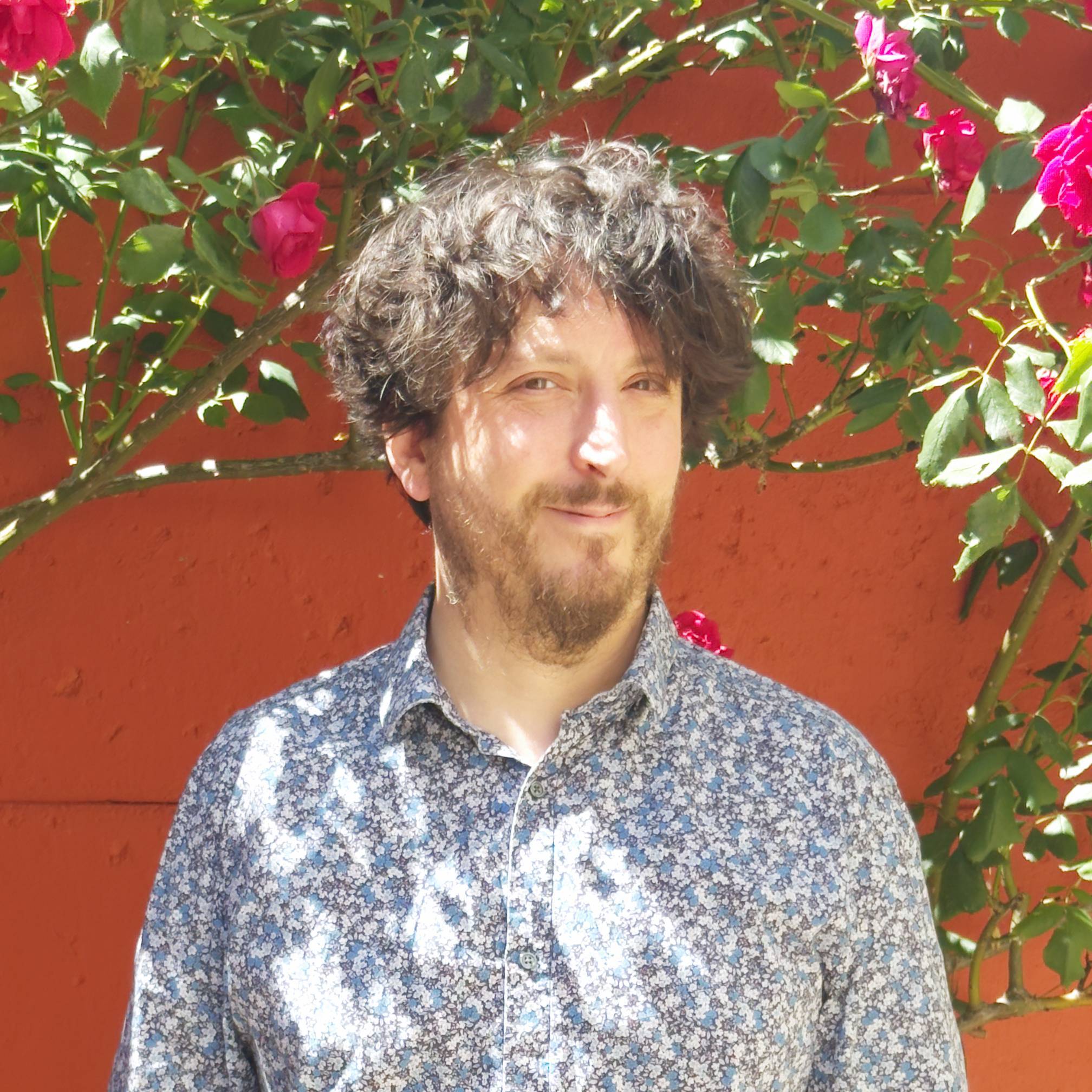 Yann Laru - Developer & Tehnical Analyst