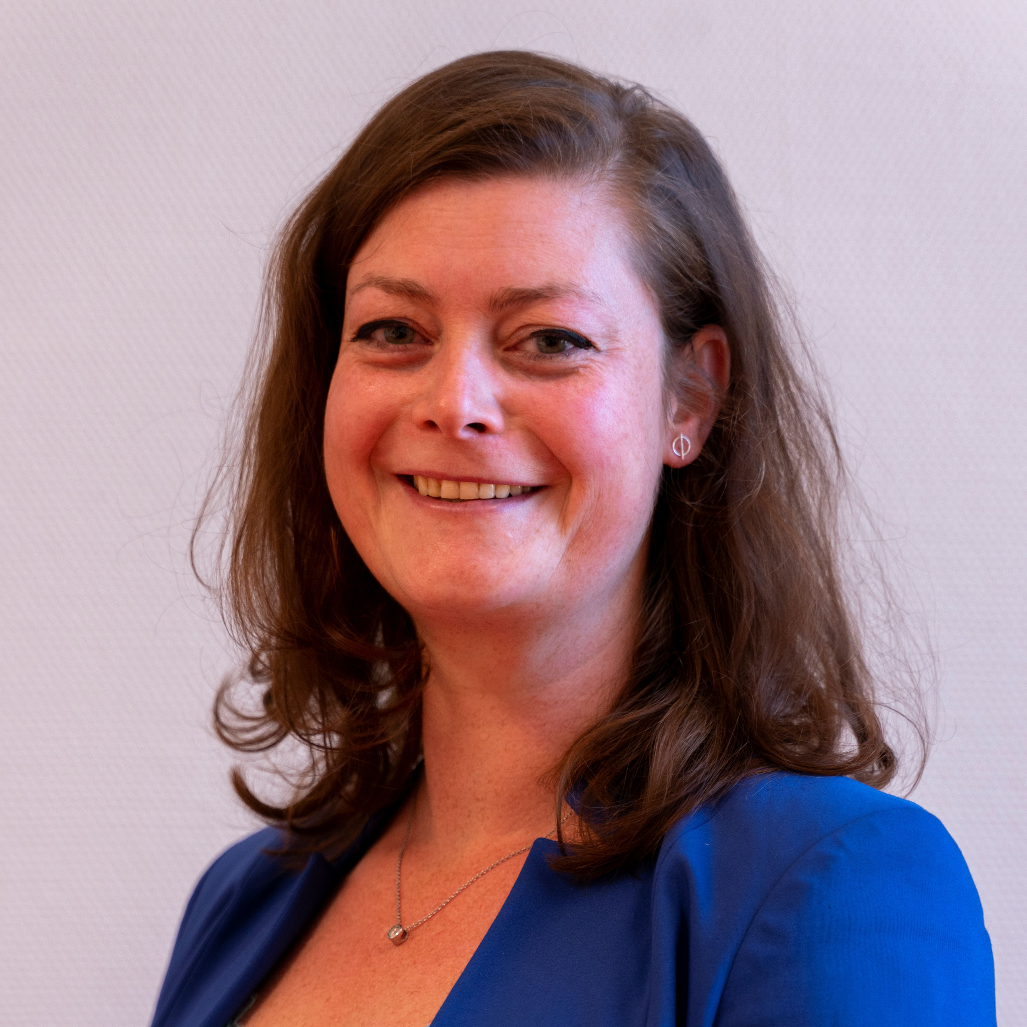 H. Oosterhuis - Developer