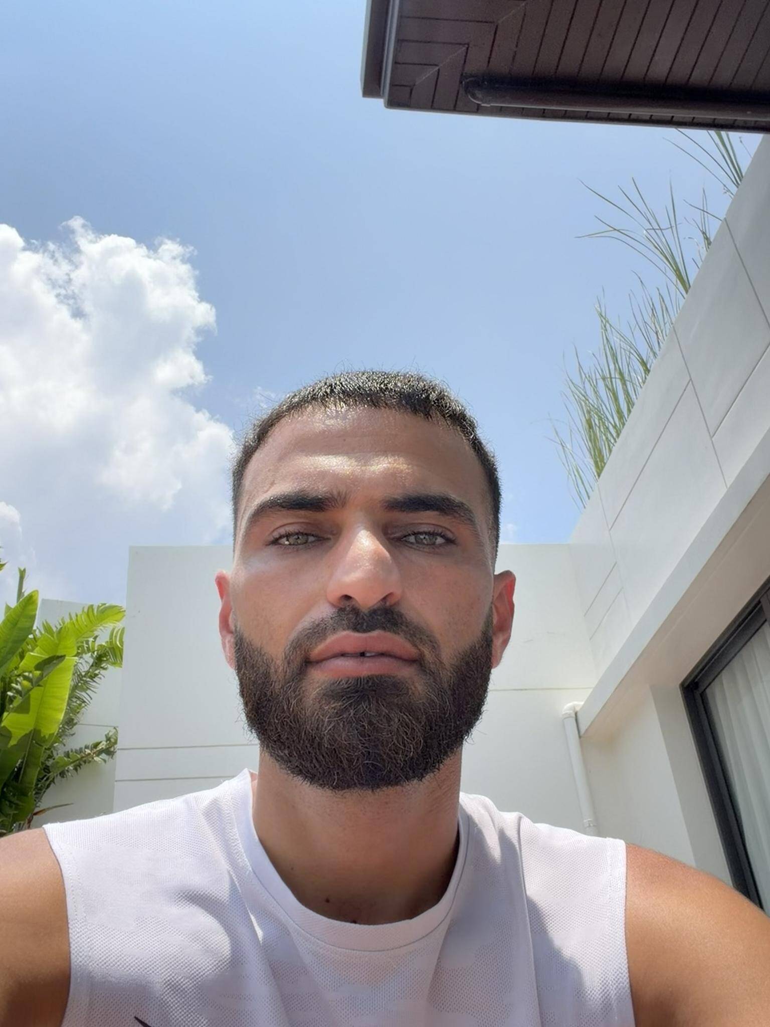 Mutahhari M. - WEBDESIGNER