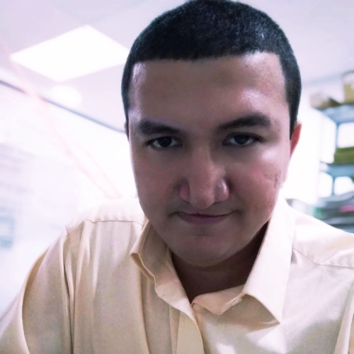 Diego Felipe Monroy Cifuentes - Moodle/PHP Developer