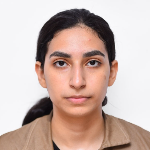 Nadeen Abdelmotaleb - Motion Graphics Designer | 2D Animator | UI Motion