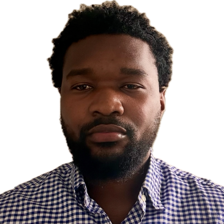 David Mavididi - Consultant Infor M3 Supply Chain