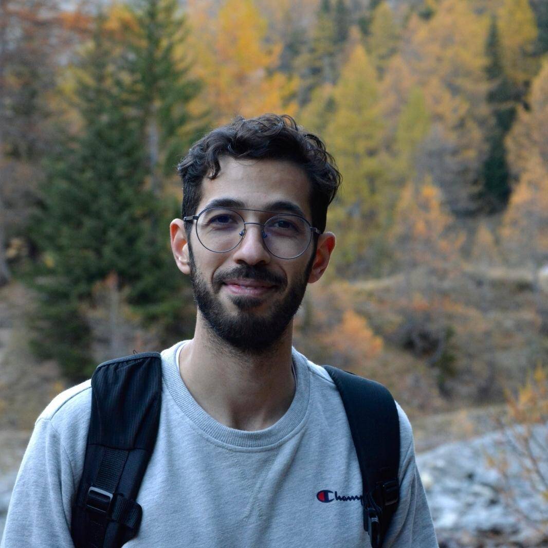 Ehsan Elwan