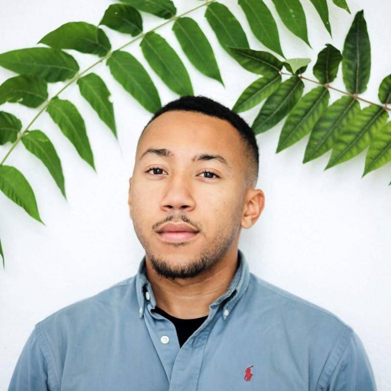 David Alcantara