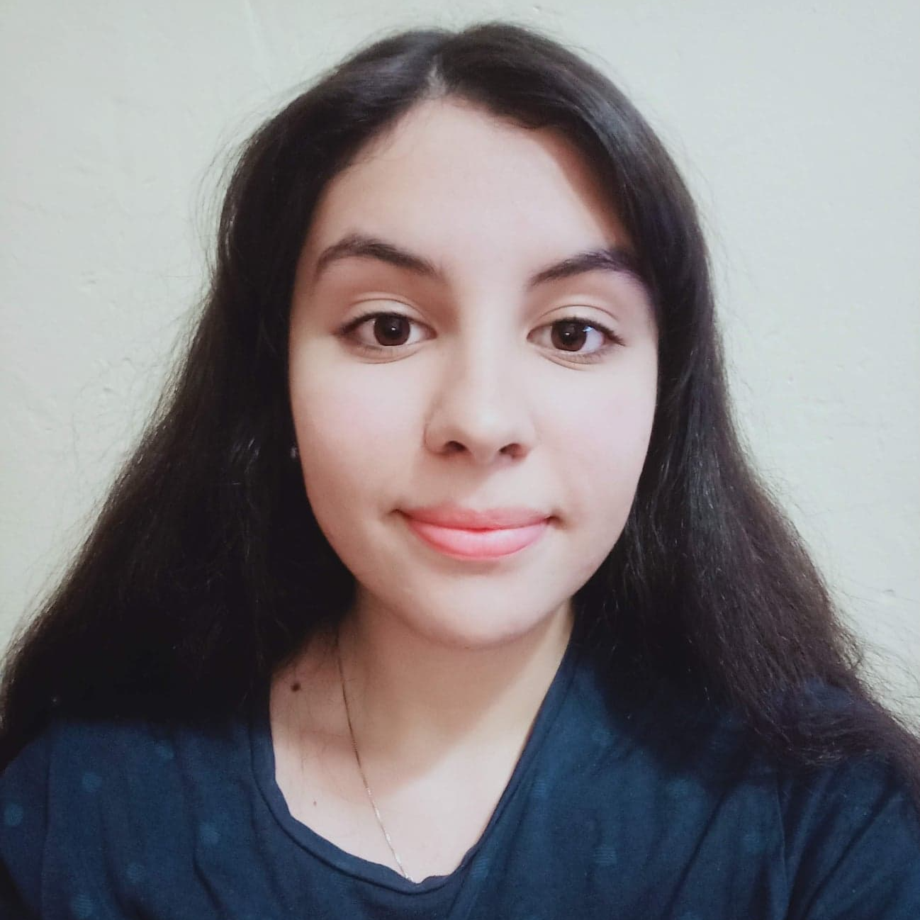 Lina Insaf B.