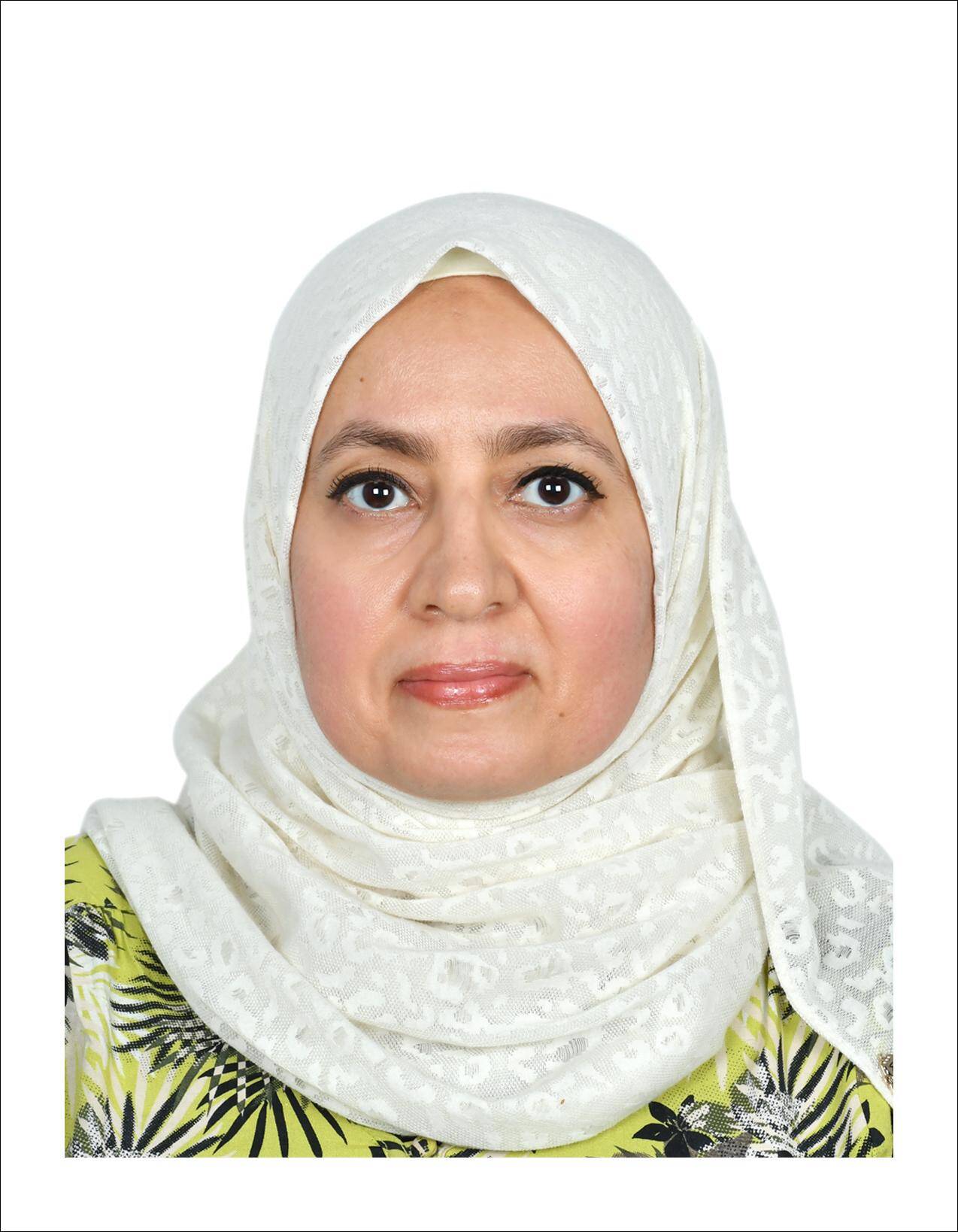 Abir Abouholy