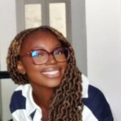 Darcy Kaba - Dessinateur-projeteur AutoCad
