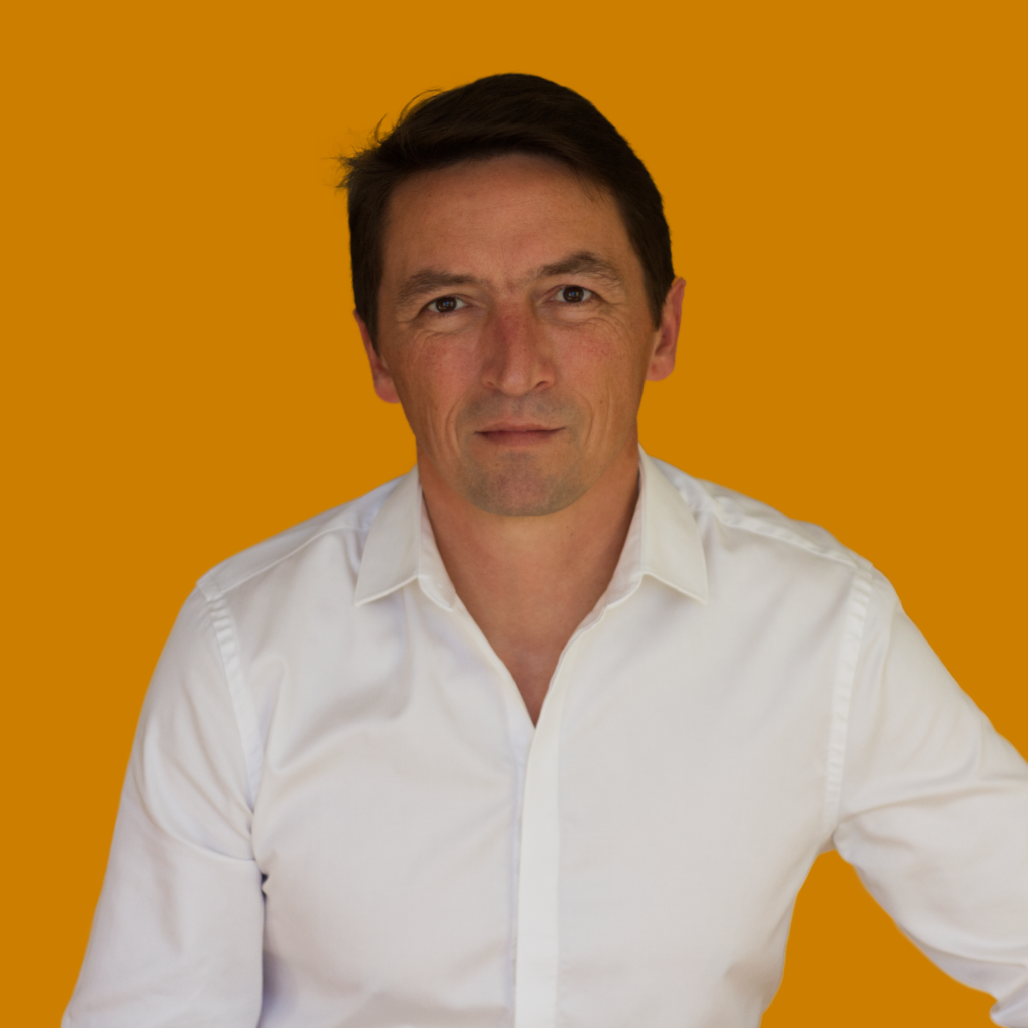 Dominique Gauchet