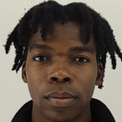Romaric Armel Agbaholou - Full-Stack Developer & AI Integration Specialist