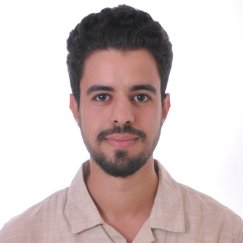 Hamza Boulibya - Data Scientist & Consultant IA | LLMs · Automation
