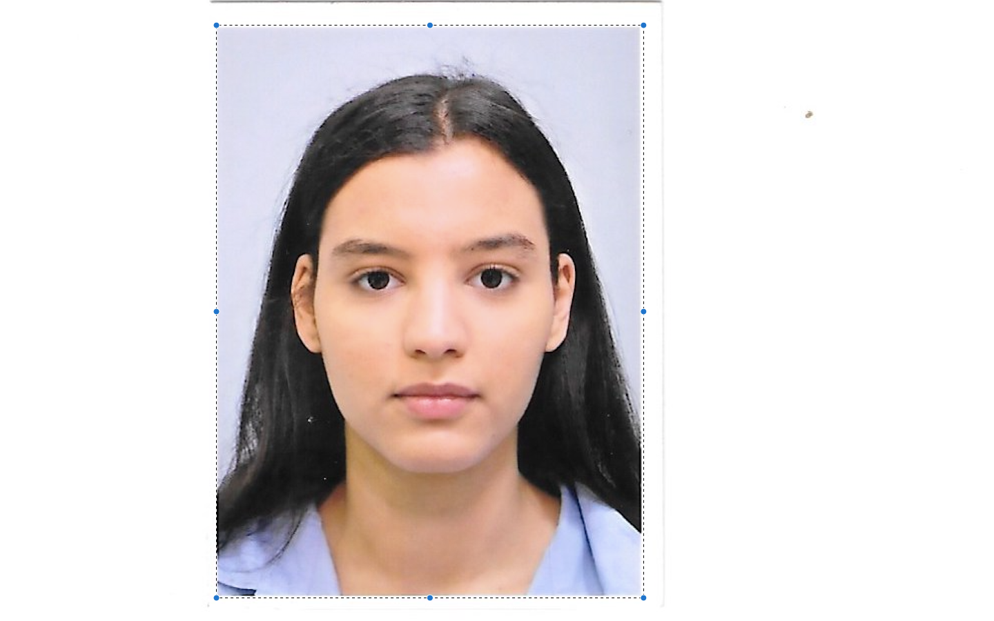 Nada Jobbid