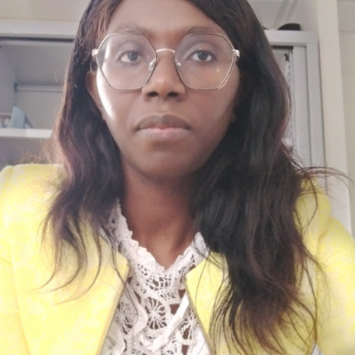 Silvère Mbomè - Responsable SI métiers / Cheffe de projet IT