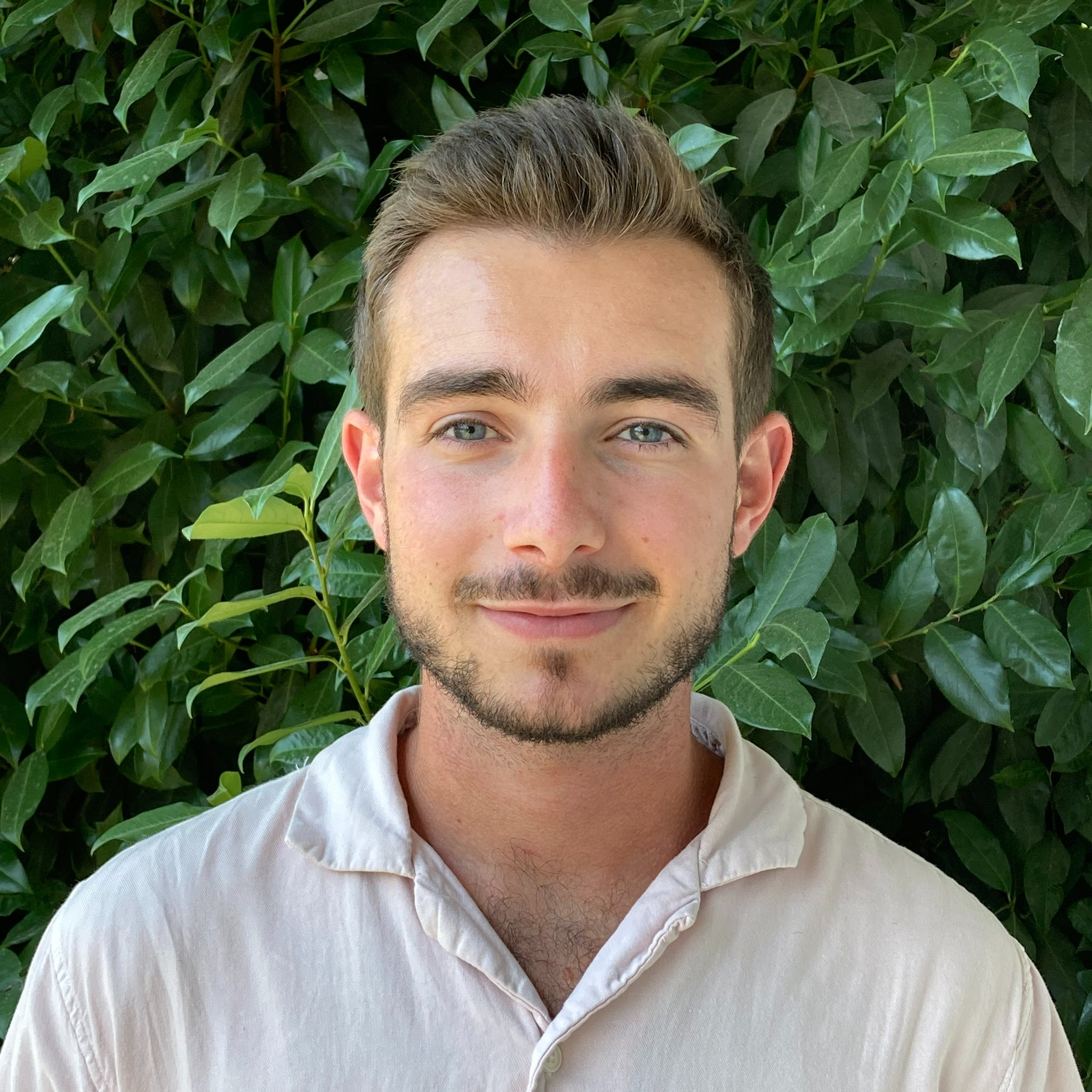 Loris  - Cybersecurity expert