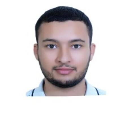 Mohammed  - SAP FI Functional Consultant