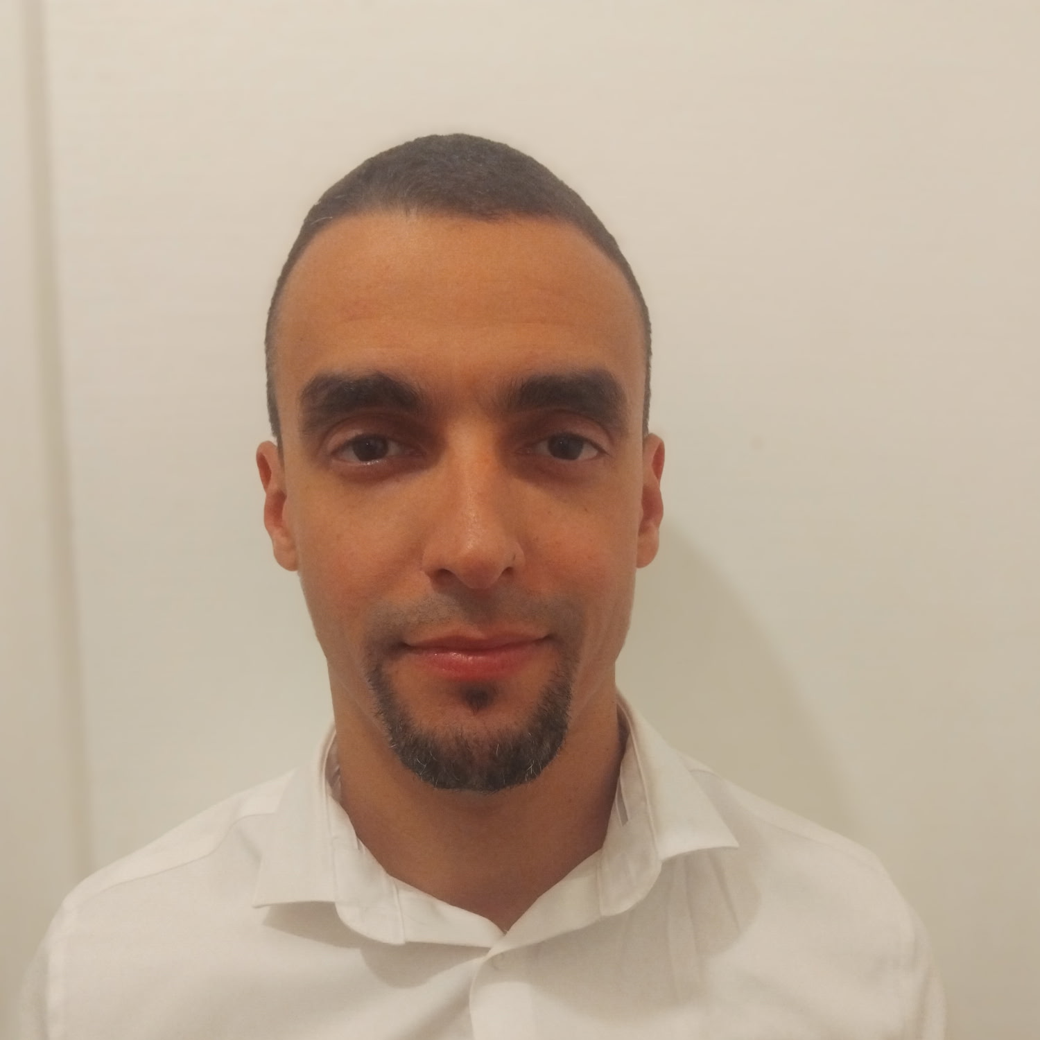 Maël Mameri - Consultant technique & maintenance de site