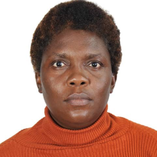 Vannelle Sandra N. - Community Manager/vente en ligneAcquisition client