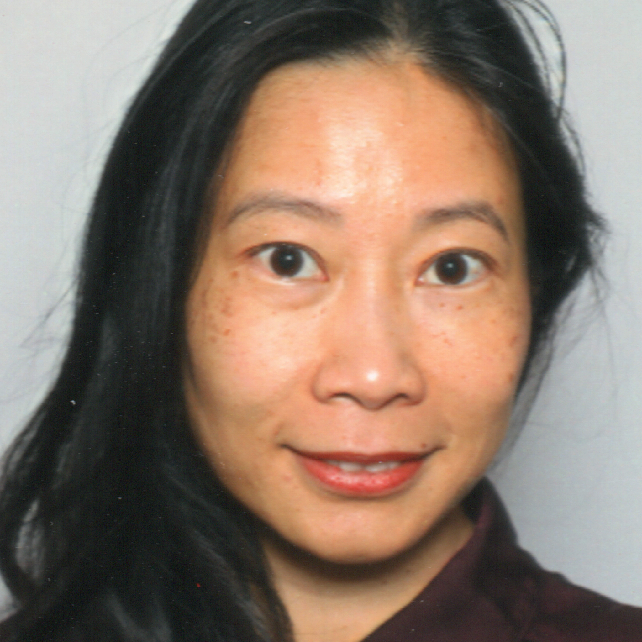 Kim Long Phan - CHEF DE PROJETS SI
