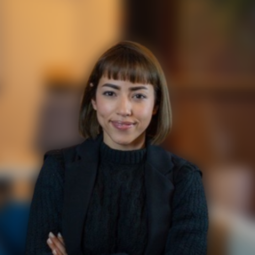 Manal  - SEO Web Writer