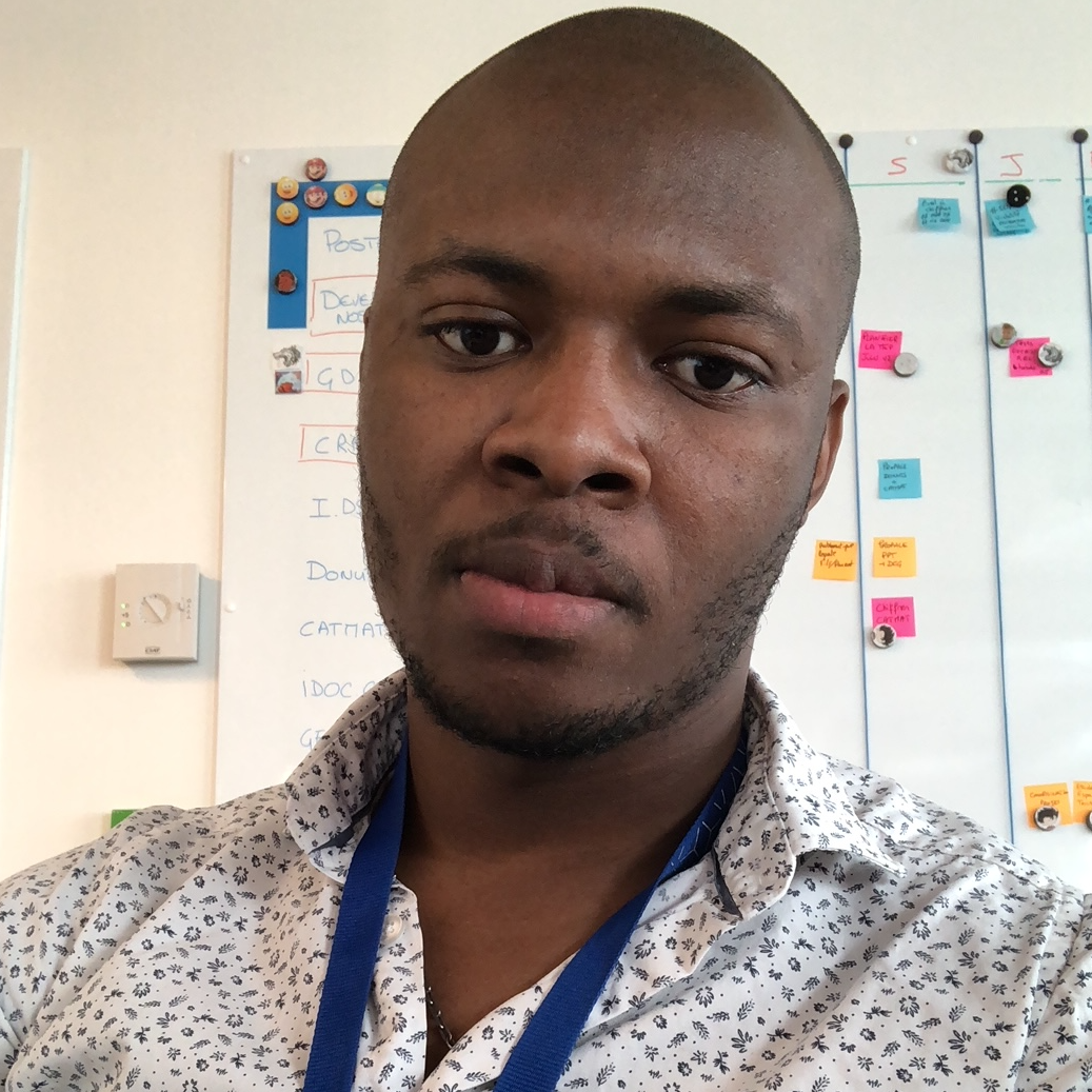Servino-Claude  - SharePoint/ Power platform consultant