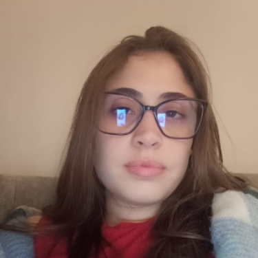 Karoui Sana - QA Analyst | UAT & API Testing | HR Systems |Agile