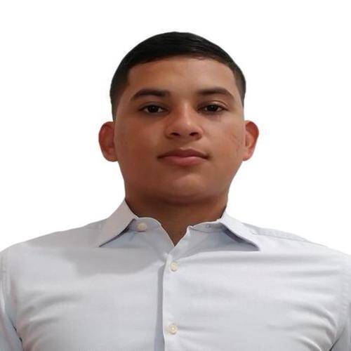 Franklin Torres Rivera - Ingeniero Mecatronico