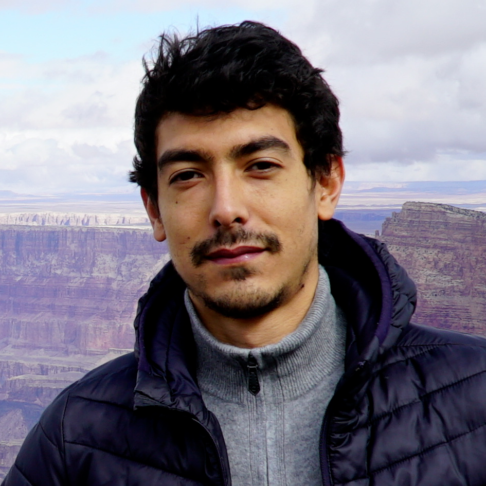 Manuel Fontenelle - Frontend Developer React/Next.js & Brand Designer