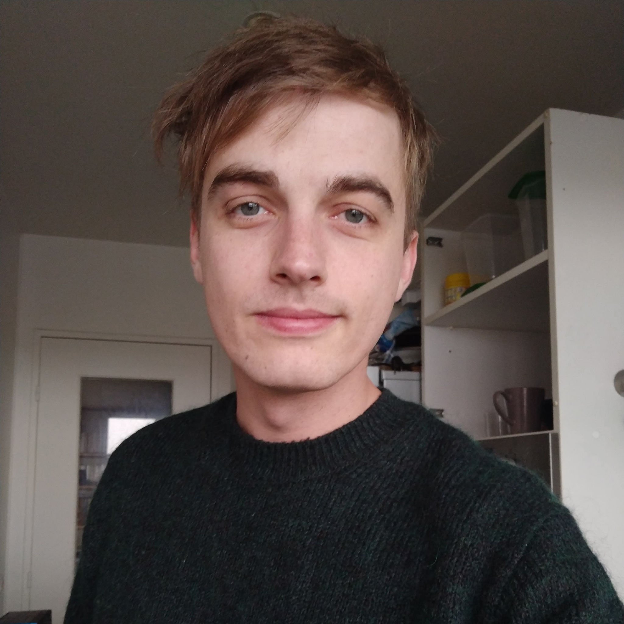 Etc Theo - Shopify Developer