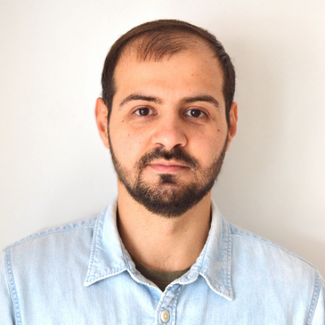 Vlad Damian - Senior Software Engineer (Rust, audio codecs, DSP)