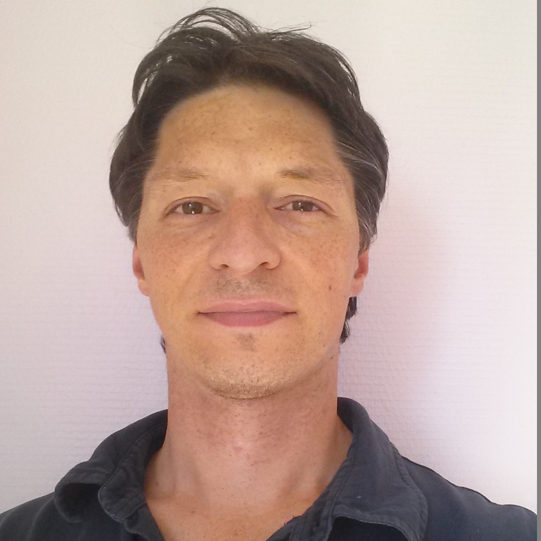 Stéphane Francois - Consultant informatique