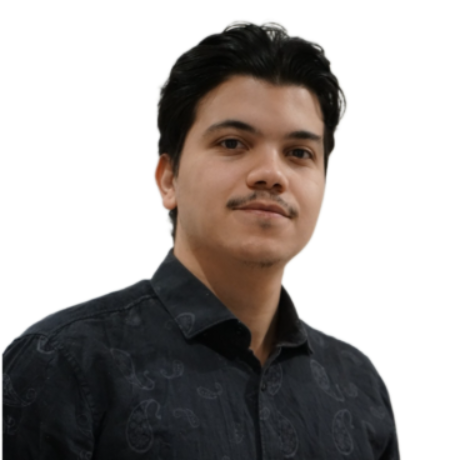 Assem Abdellah Kettab - Freelance consultant