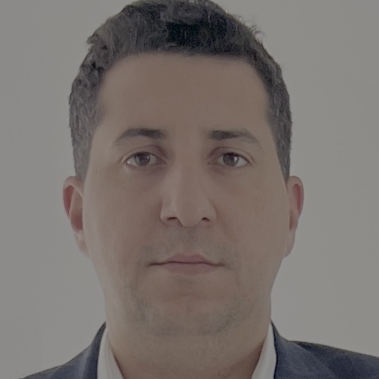 Iskander  - Microsoft D365 CE Technical Lead