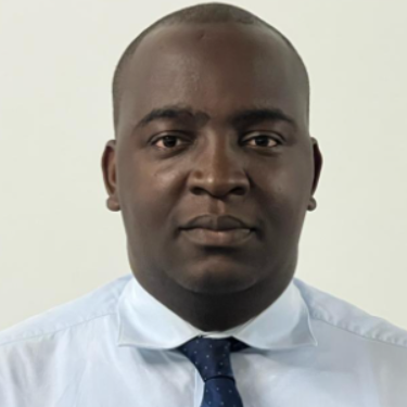 João Da Silva Figueira - Business Analyst