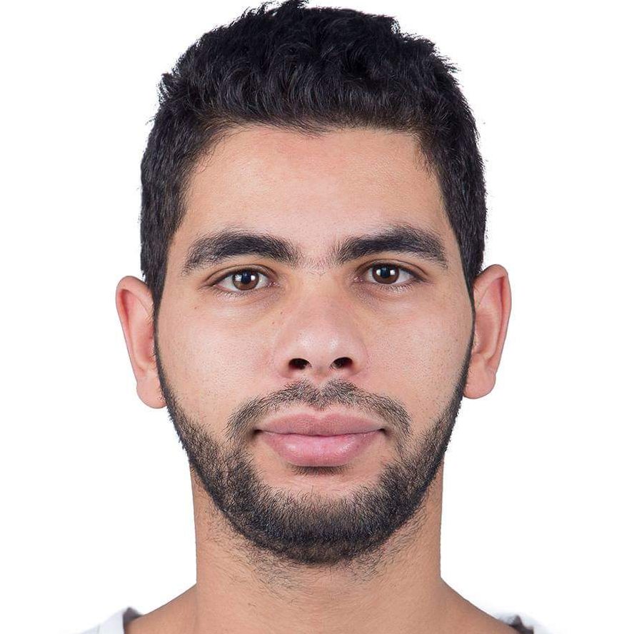 Mchaalia  - Salesforce Developer