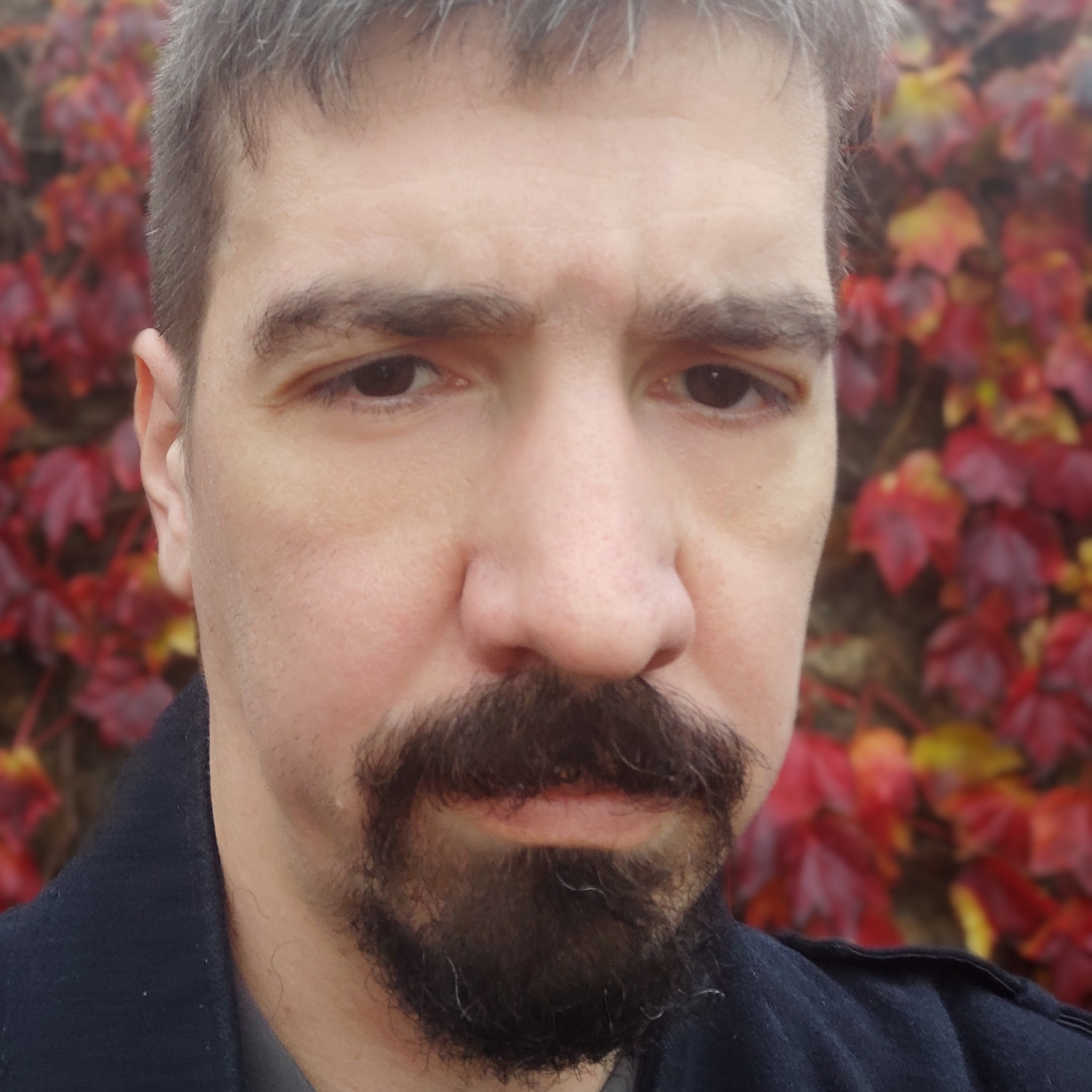 François Cariou - Teach Lead Java/ Senior Developer Java