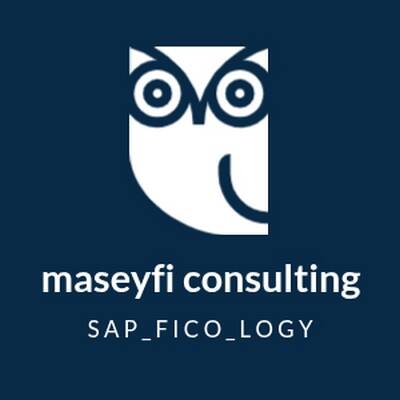 Mehmet Akif  - Senior Consultant SAP FI/CO