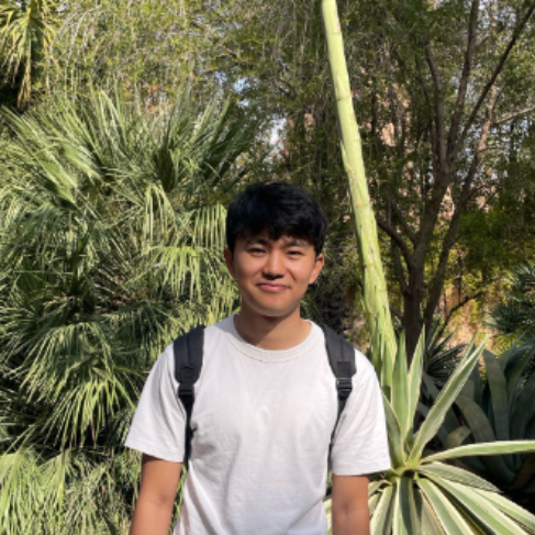 Raket Makhim - Senior Developer