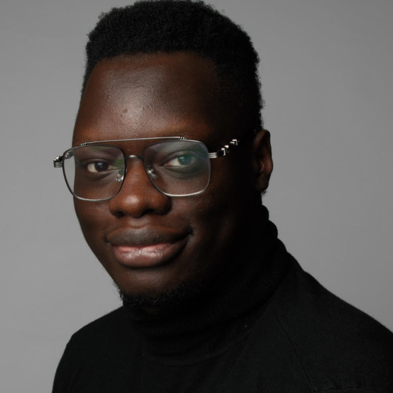 Mamadou Diamara - Data analyst