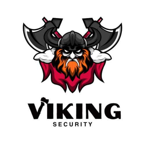 Viking Security - Your Technology and Cybersecurity Partner