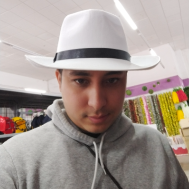 Wilman Erick Palencia Morean - Técnico