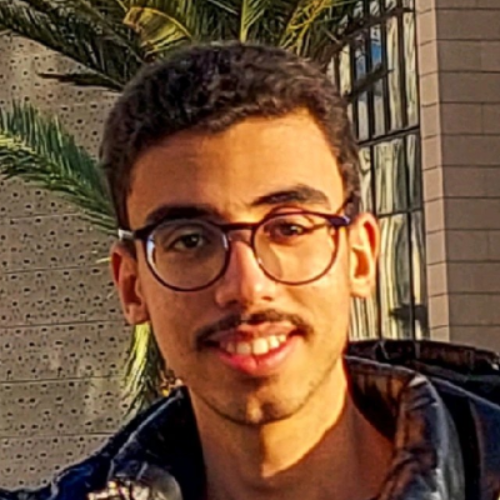 Walid Housni