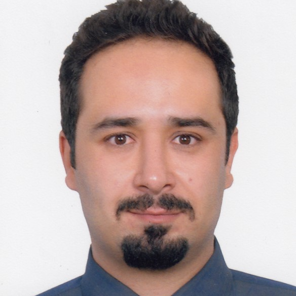 Yaser Hosseingholipour