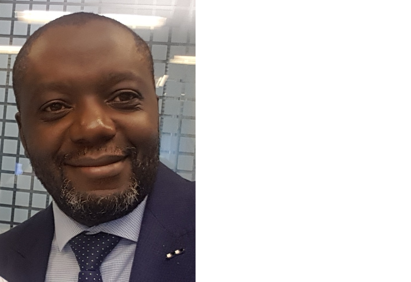Joel  - Organization, Business Process and Project Manager