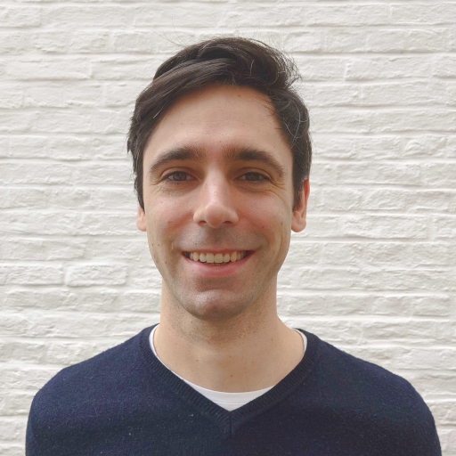 Dries Langsweirdt - Senior Backend Developer .NET