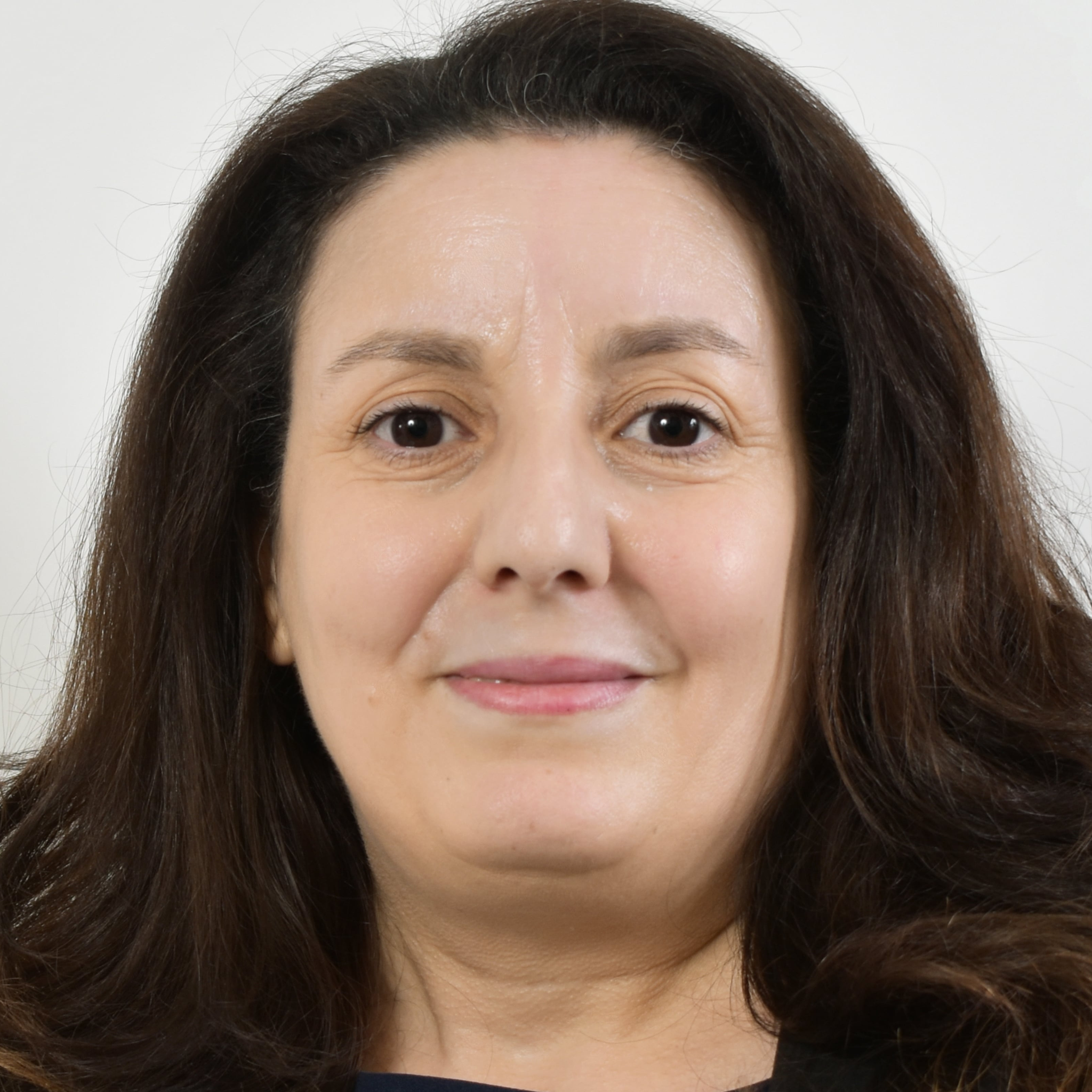 Hakima M. - Executive AI-for-Science- Expert reviewer -Advisor