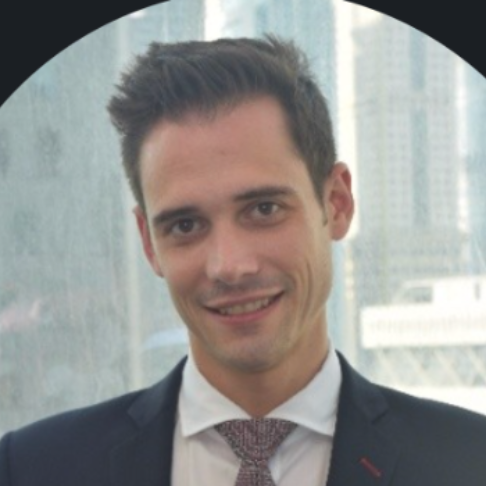 David Olive Fornos - Strategy, Project Management and Sales consultant